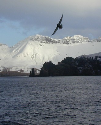 1. Kamagil Island with a large unidentified bird in flight. Photo Credit: Fisheries Oceanography Coordinated Investigations (FOCI, http://www.pmel.noaa.gov/foci), NOAA Ship MILLER FREEMAN: Photo Galleries (http://www.pmel.noaa.gov/foci/freeman/photos.shtml), Specific Cruises: 3/13/2000 (March 13, 2000, 30-kamagilis2.jpg, http://www.pmel.noaa.gov/foci/freeman/photo_graphics/pics/mf_3_13_2000), National Oceanic and Atmospheric Administration (NOAA, http://www.noaa.gov), United States Department of Commerce (http://www.commerce.gov), Government of the United States of America (USA).
