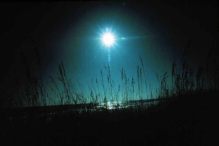 Sunrise Over the Sea Oats. Photo Credit: Richard Frear, National Park Service; National Oceanic and Atmospheric Administration Photo Library (http://www.photolib.noaa.gov, wea00175), Historic NWS Collection, NOAA Central Library, National Oceanic and Atmospheric Administration (NOAA, http://www.noaa.gov), United States Department of Commerce (http://www.commerce.gov), Government of the United States of America (USA).