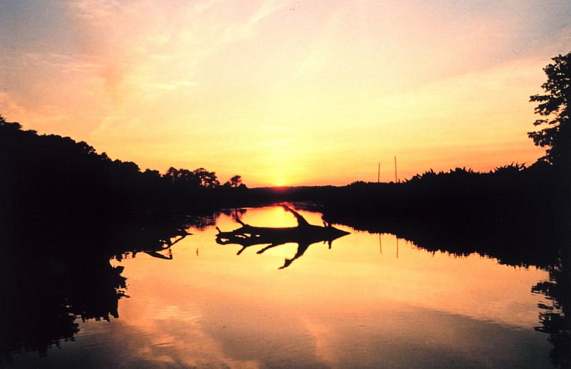 Beautiful Setting of the Sun in Orange Hues Over the Marsh at Cardinal Cove, May 22, 1998. Mid Patuxent River, State of Maryland, USA. Photo Credit: Mary Hollinger, NODC biologist, NOAA; National Oceanic and Atmospheric Administration Photo Library (http://www.photolib.noaa.gov, line0629), America's Coastlines Collection, NOAA Central Library, National Oceanic and Atmospheric Administration (NOAA, http://www.noaa.gov), United States Department of Commerce (http://www.commerce.gov), Government of the United States of America (USA).