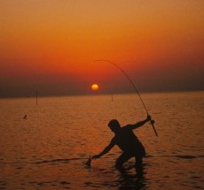 2. Sunset Fishing. Photo Credit: R. Roach Will (WO-4723-CD-42B), Washington DC Library, United States Fish and Wildlife Service Digital Library System (http://images.fws.gov), United States Fish and Wildlife Service (http://www.fws.gov), United States Department of the Interior (http://www.doi.gov), Government of the United States of America (USA).