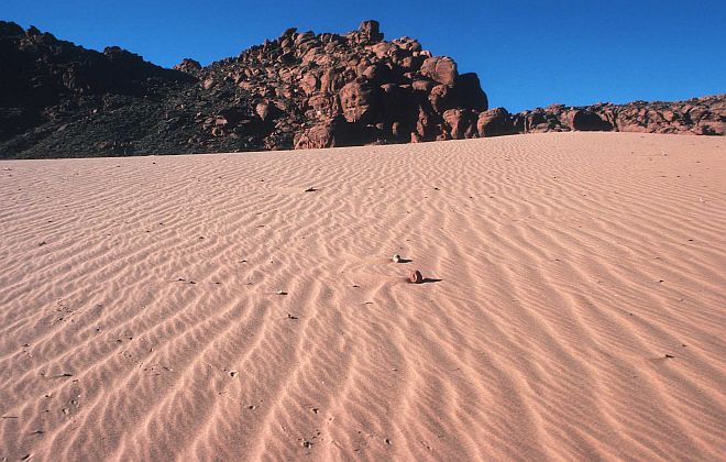 Coral Pink Sand Dunes State Park, State of Utah, USA. Photo Credit: Ron Nichols (1997, http://photogallery.nrcs.usda.gov, NRCSUT03009), USDA Natural Resources Conservation Service (NRCS, http://www.nrcs.usda.gov), United States Department of Agriculture (USDA, http://www.usda.gov), Government of the United States of America (USA).
