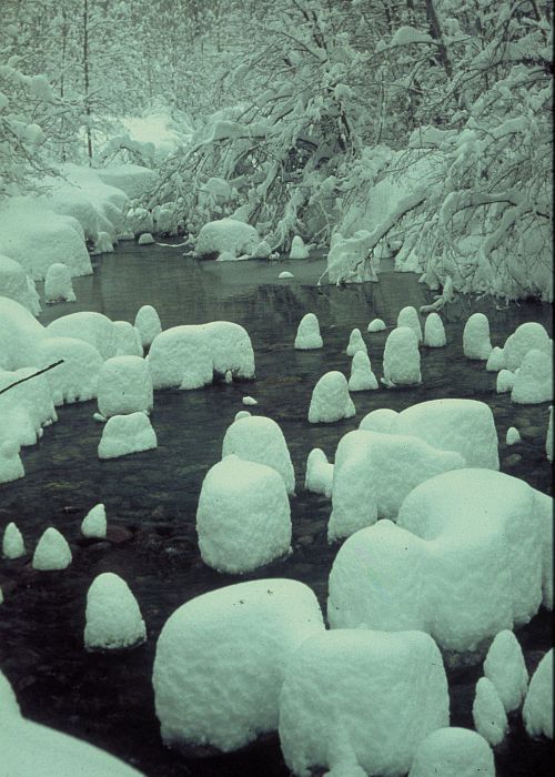 Quiet and Peaceful. A Beautiful Winter Scene with the Water's Snow-Covered Stones, the 'Snowmen', and Surrounding Trees. Photo Credit: Bruce Smith, Washington DC Library, United States Fish and Wildlife Service Digital Library System (http://images.fws.gov, WO-2761_CD-43A), United States Fish and Wildlife Service (FWS, http://www.fws.gov), United States Department of the Interior (http://www.doi.gov), Government of the United States of America (USA).