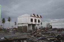 4. Fiercely Battered Trees and a House Remain Upright in Banda Aceh, Sumatra, Republik Indonesia. Photo Credit: Department of Defense photo by Michael L. Bak, Photo date: January 1, 2005, Navy NewsStand - Eye on the Fleet Photo Gallery (http://www.news.navy.mil/view_photos.asp, 050101-O-XXXXB-074), United States Navy (USN, http://www.navy.mil), United States Department of Defense (DoD, http://www.DefenseLink.mil or http://www.dod.gov), Government of the United States of America (USA).