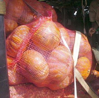 1. Boxes of vegetables aboard a United States Air Force HH-60G Pave Hawk helicopter in Sri Lanka, one of the countries devastated by the wall of water caused by "The Great Earthquake and Catastrophic Tsunami of 2004" <http://ChamorroBible.org/gpw/gpw-The-Great-Earthquake-and-Catastrophic-Tsunami-of-2004.htm>. January 12, 2005, Dambula, Democratic Socialist Republic of Sri Lanka. Photo Credit: Master Sgt. Val Gempis, Air Force Link - Photos (http://www.af.mil/photos, 050112-F-1740G-010, "Relief effort making progress"), United States Air Force (USAF, http://www.af.mil), United States Department of Defense (DoD, http://www.DefenseLink.mil or http://www.dod.gov), Government of the United States of America (USA).