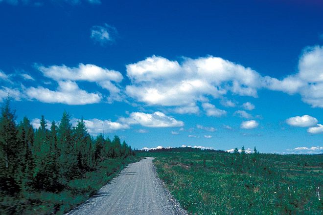 Gravel Road Through the Immense Kanuti National Wildlife Refuge, State of Alaska, USA. Photo Credit: Alaska Image Library, United States Fish and Wildlife Service Digital Library System (http://images.fws.gov, AK/RO/02780), United States Fish and Wildlife Service (FWS, http://www.fws.gov), United States Department of the Interior (http://www.doi.gov), Government of the United States of America (USA).