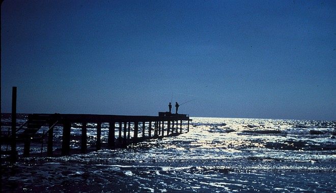 Quiet Time on the Pier. Photo Credit: Kenneth O. Butts, Washington DC Library, United States Fish and Wildlife Service Digital Library System (http://images.fws.gov, WO-2980-CD42A), United States Fish and Wildlife Service (FWS, http://www.fws.gov), United States Department of the Interior (http://www.doi.gov), Government of the United States of America (USA).