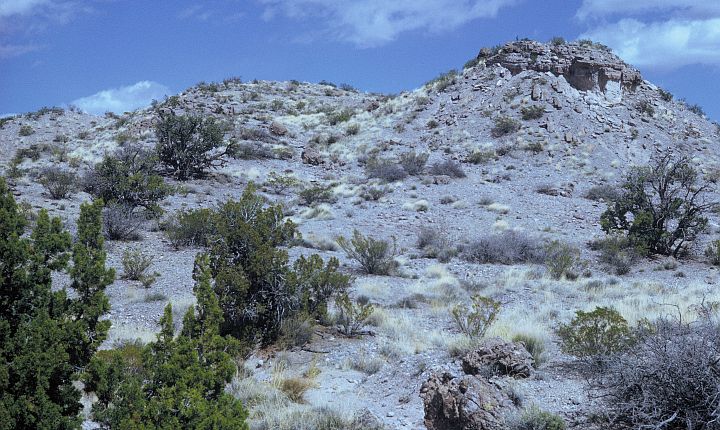 Desert in the Bosque del Apache National Wildlife Refuge, State of New Mexico, USA. Photo Credit: U.S. FWS, Washington DC Library, United States Fish and Wildlife Service Digital Library System (http://images.fws.gov, WO4368-Highlights), United States Fish and Wildlife Service (FWS, http://www.fws.gov), United States Department of the Interior (http://www.doi.gov), Government of the United States of America (USA).