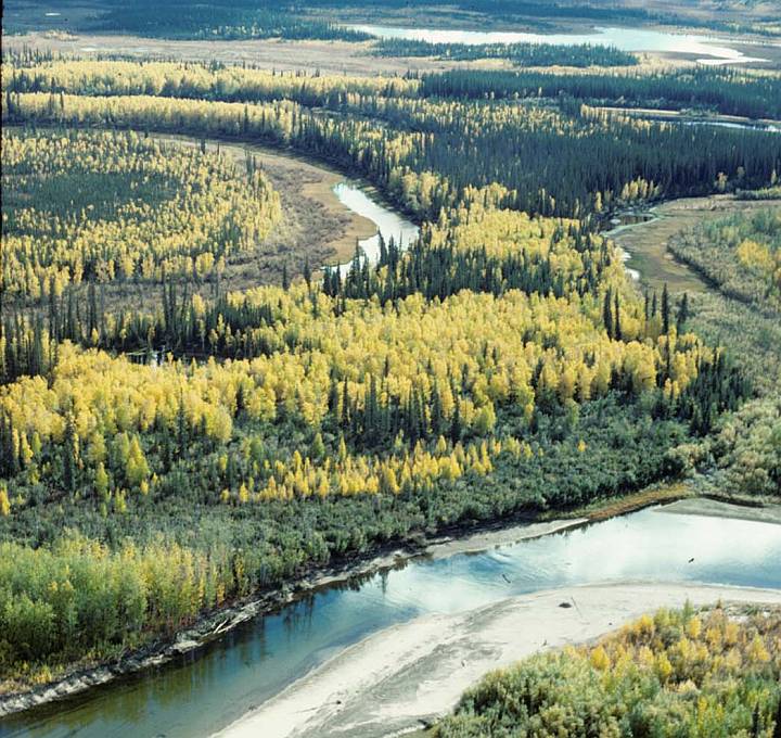 Beautiful Fall Season Landscape on the Yukon Flats National Wildlife Refuge, State of Alaska, USA. Photo Credit: Ted Heuer, Alaska Image Library, United States Fish and Wildlife Service Digital Library System (http://images.fws.gov, HabAVRv070), United States Fish and Wildlife Service (FWS, http://www.fws.gov), United States Department of the Interior (http://www.doi.gov), Government of the United States of America (USA).