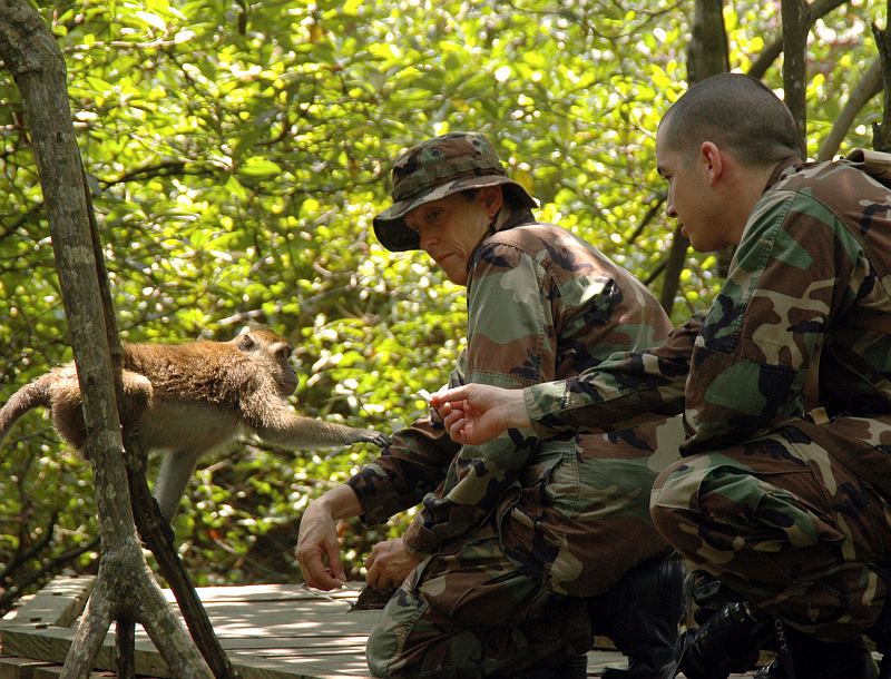Feeding a Wild Macaque Monkey at a Local Wildlife Reserve, August 2006 in Tarakan, Republik Indonesia - Republic of Indonesia. Photo Credit: Mass Communication Specialist Seaman Ryan Clement, Navy NewsStand - Eye on the Fleet Photo Gallery (http://www.news.navy.mil/view_photos.asp, 060814-N-3153C-128), United States Navy (USN, http://www.navy.mil), United States Department of Defense (DoD, http://www.DefenseLink.mil or http://www.dod.gov), Government of the United States of America (USA).