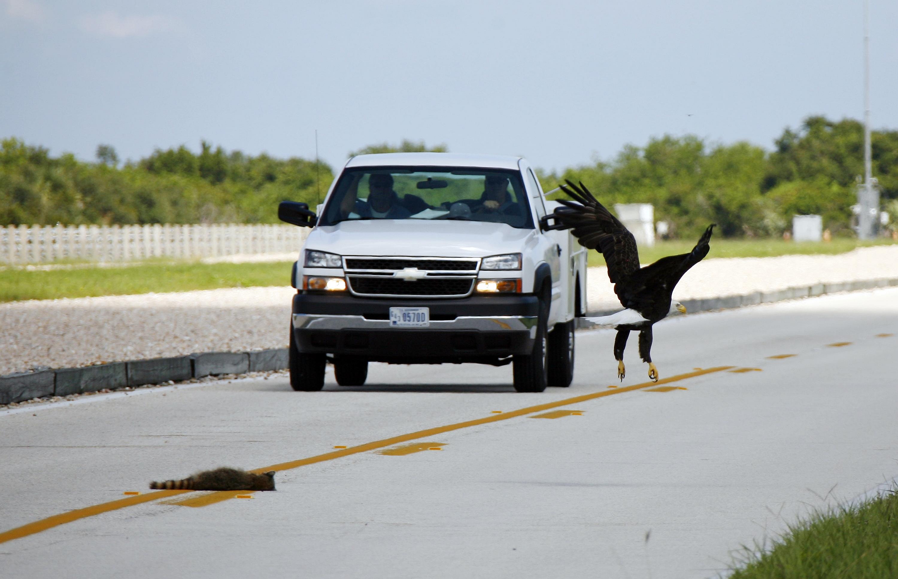nasa.gov International space cuisine