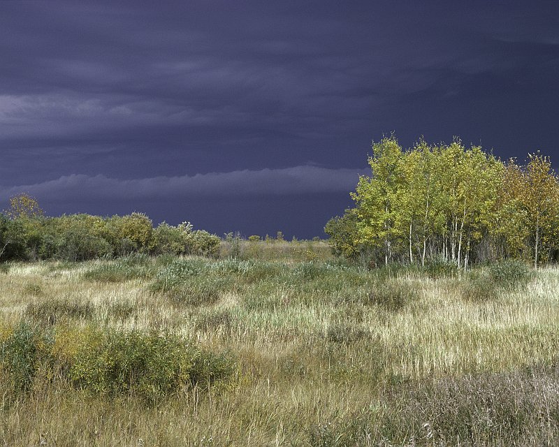 Agassiz National Wildlife Refuge, State of Minnesota, USA. Photo Credit: Gary Tischer, NCTC Image Library, United States Fish and Wildlife Service Digital Library System (http://images.fws.gov, WV-276-Centennial), United States Fish and Wildlife Service (FWS, http://www.fws.gov), United States Department of the Interior (http://www.doi.gov), Government of the United States of America (USA).