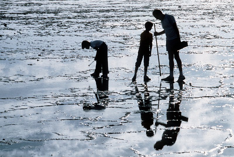 53. Together at Sunset, Father (Daddy) and Two of His Children Look For Seashells on the Beach, January 1, 1980, Commonwealth of Australia. Photo Credit: TSgt. Bob Wickley, United States Air Force (USAF, http://www.af.mil); Defense Visual Information Center (DVIC, http://www.DoDMedia.osd.mil, DFST8208595) and United States Air Force (USAF, http://www.af.mil), United States Department of Defense (DoD, http://www.DefenseLink.mil or http://www.dod.gov), Government of the United States of America (USA).