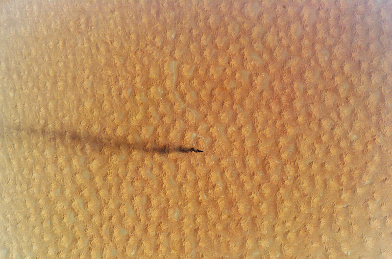 89. A Sea of Sand Dunes: Midmorning In the Grand Erg Oriental, Al Jumhuriyah al Jaza'iriyah ad Dimuqratiyah ash Sha'biyah - People's Democratic Republic of Algeria on August 27, 2007 at 09:18:47.795 GMT, As Seen From the International Space Station (Expedition 15), Latitude (LAT): 30.0, Longitude (LON): 8.5, Altitude (ALT): 183 Nautical Miles, Sun Azimuth (AZI): 116 degrees, Sun Elevation Angle (ELEV): 54 degrees. Photo Credit: NASA; ISS015-E-24810, Sand dunes, Smoke, Grand Erg Oriental (Great Eastern Erg) Algeria (Al Jaza'ir), International Space Station (Expedition Fifteen); Image Science and Analysis Laboratory, NASA-Johnson Space Center. 'Astronaut Photography of Earth - Display Record.' <http://eol.jsc.nasa.gov/scripts/sseop/photo.pl?mission=ISS015&roll=E&frame=24810>; National Aeronautics and Space Administration (NASA, http://www.nasa.gov), Government of the United States of America (USA).